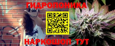 синтетический гашиш Камышлов